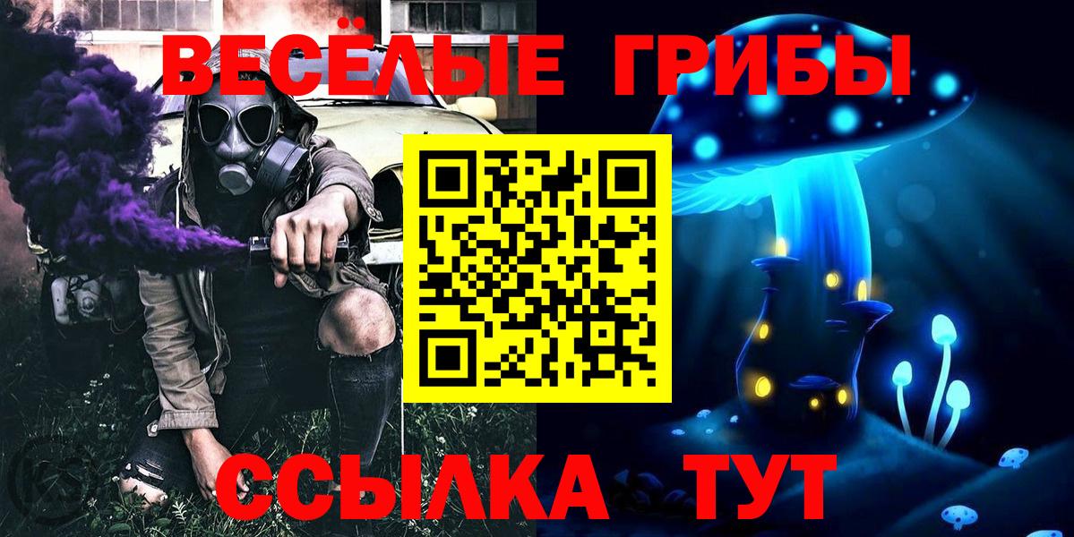 Галлюциногенные грибы мухоморы Коряжма