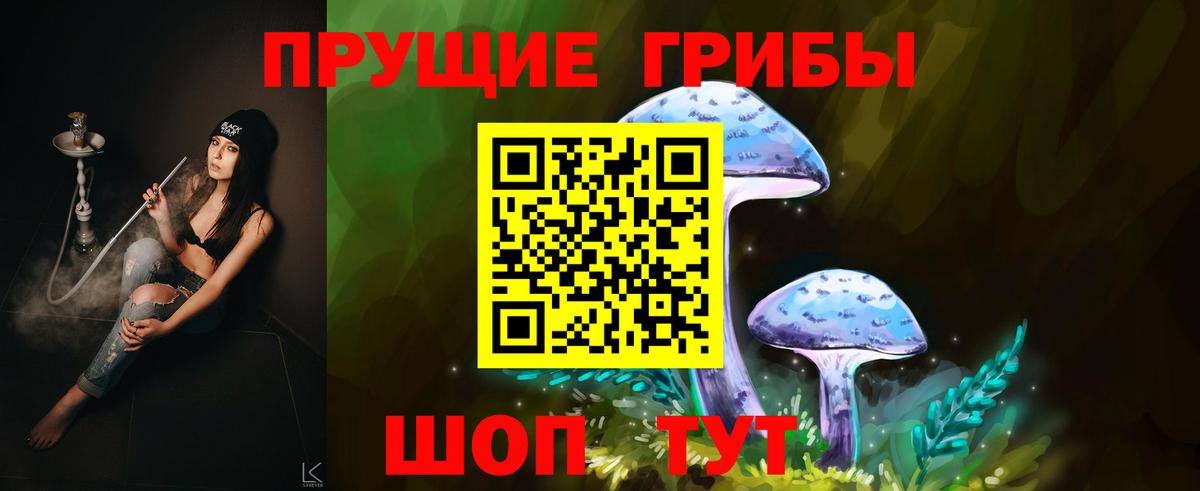 Псилоцибиновые грибы Psilocybine cubensis  Вход с VPN  Коряжма 
